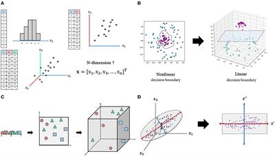A Novel Framework for Understanding the Pattern Identification of Traditional Asian Medicine From the Machine Learning Perspective